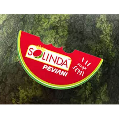 solinda